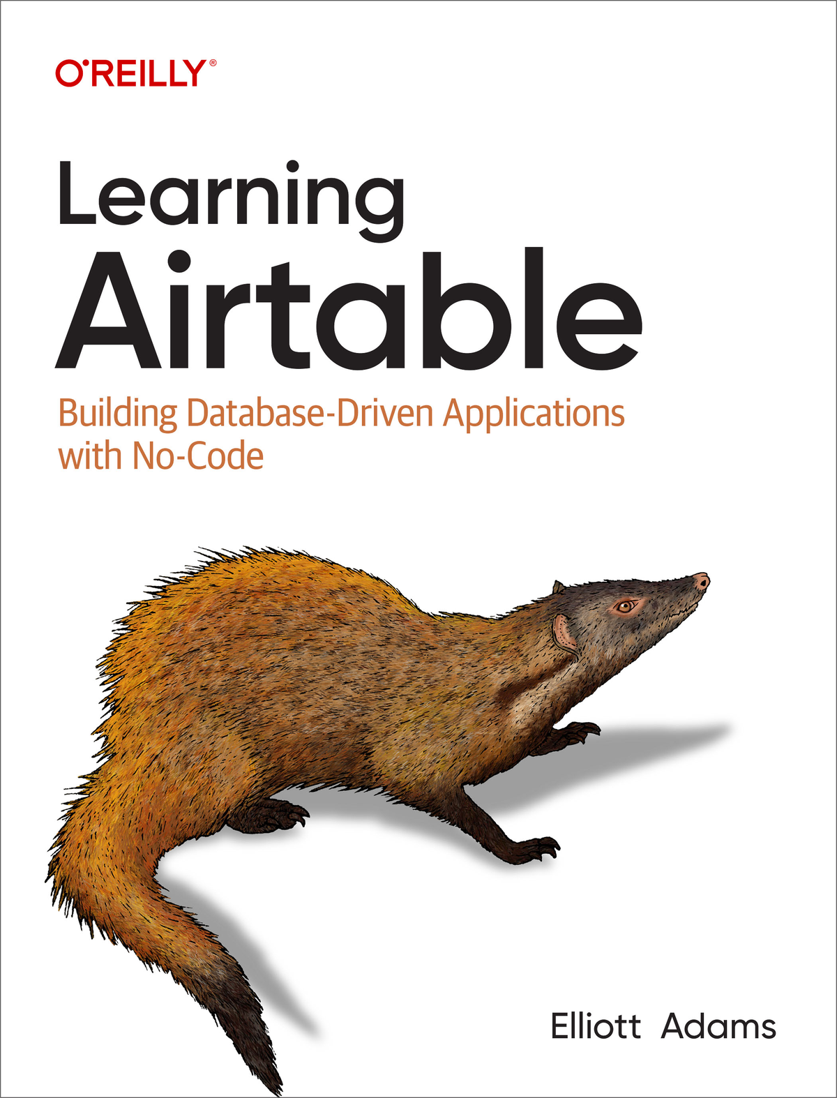 Cover of Learning Airtable