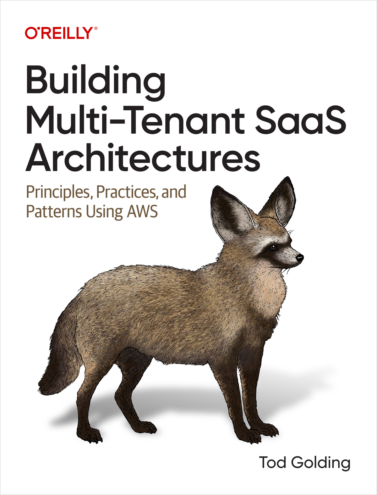 Cover of Building Multi-Tenant Saas Architectures: Principles, Practices and Patterns Using Aws
