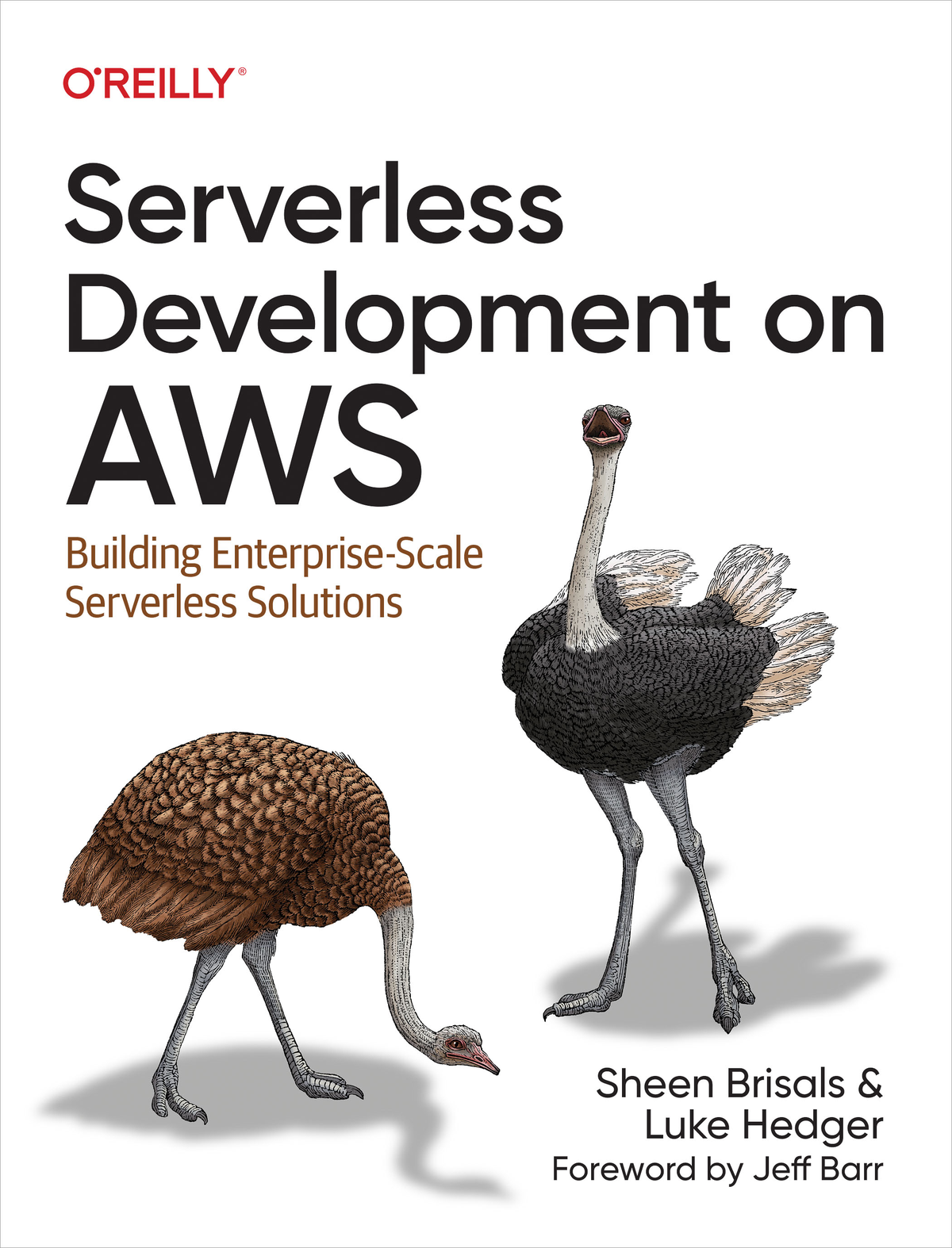 Cover of Serverless Development on Aws: Building Enterprise-Scale Serverless Solutions