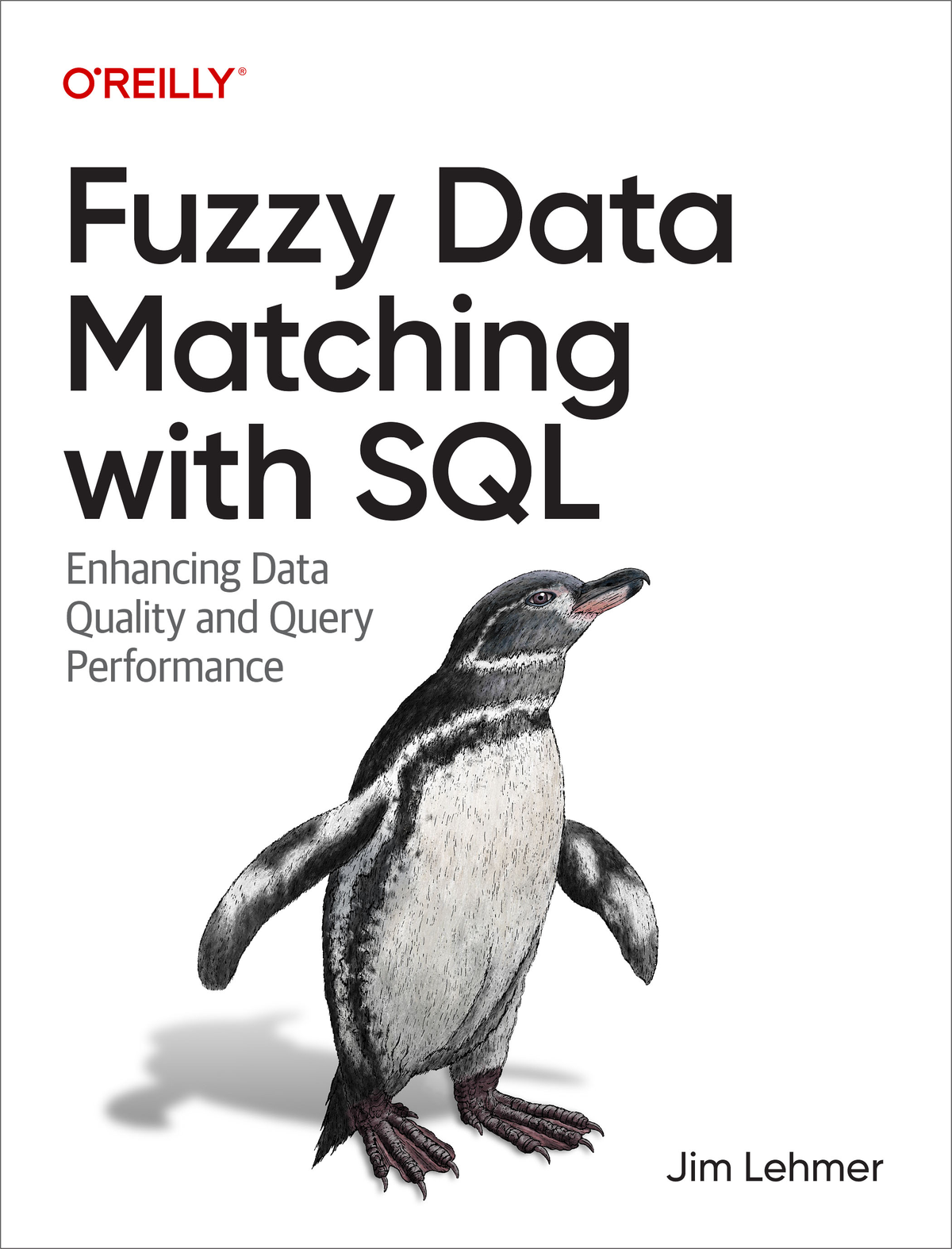 Cover of Fuzzy Data Matching with SQL