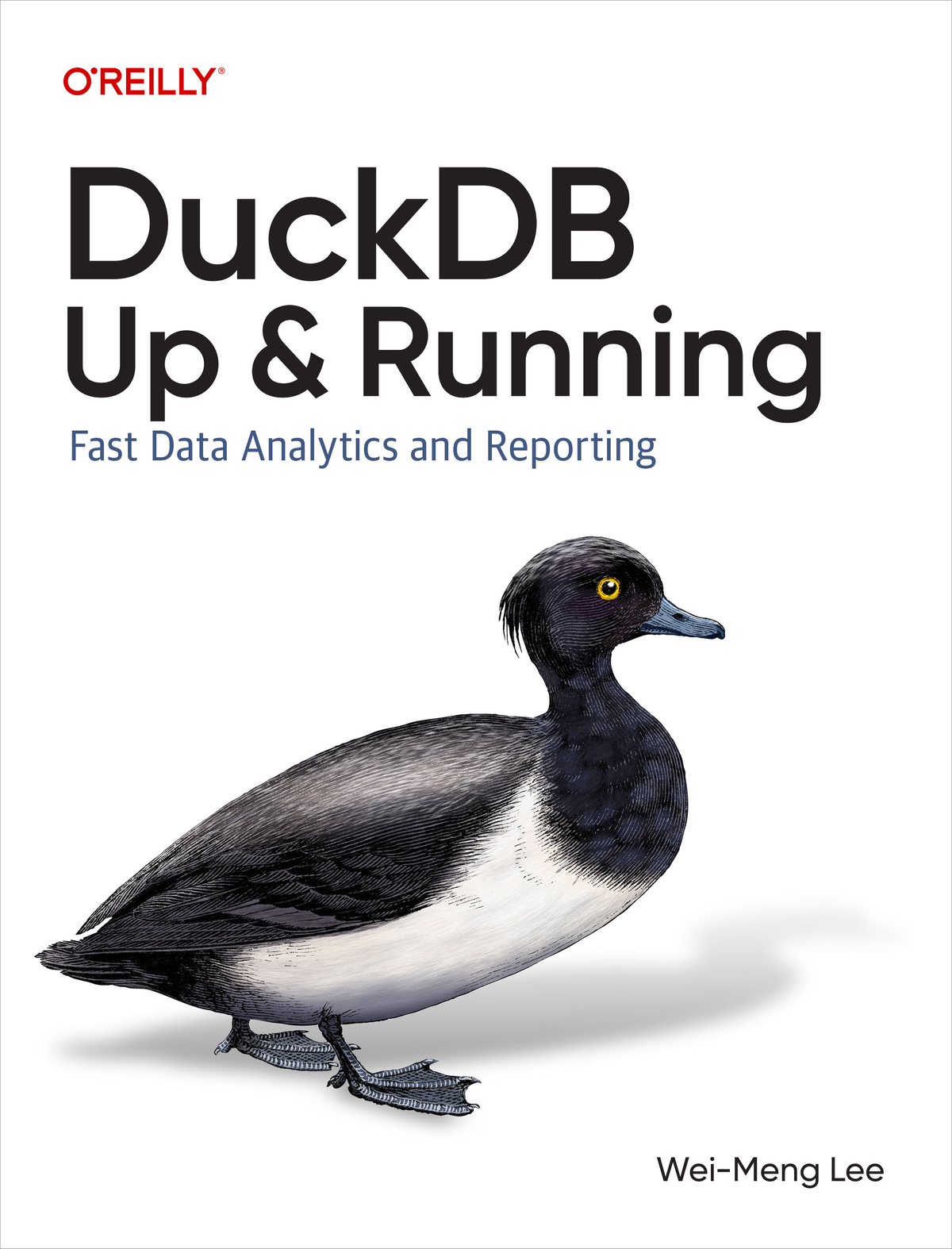 Cover of Duckdb: Up and Running