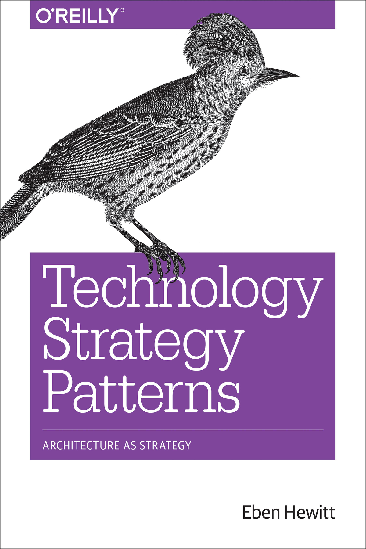 Cover of Technology Strategy Patterns