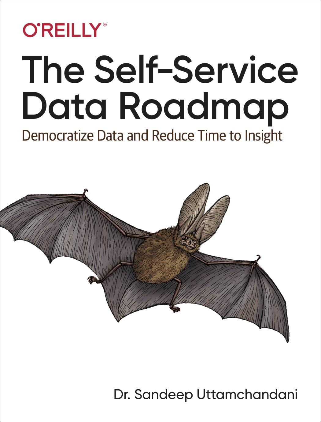Cover of The Self-Service Data Roadmap